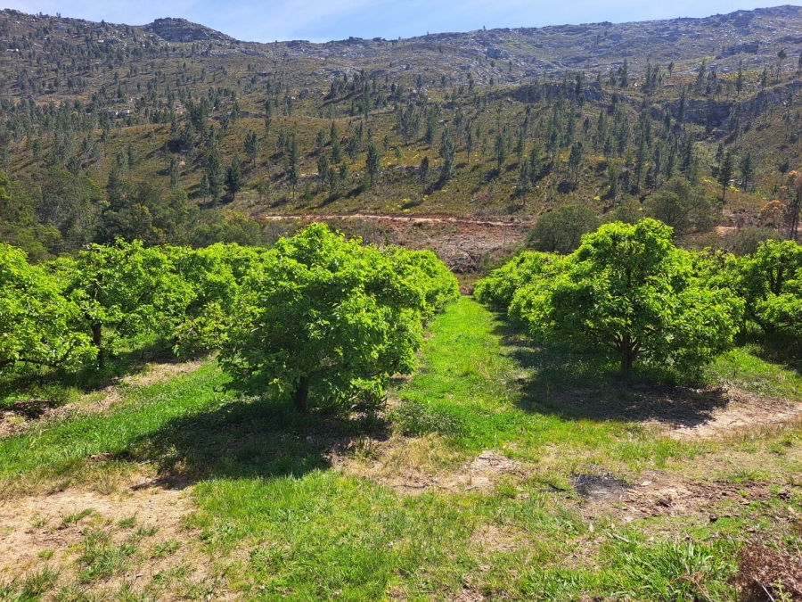 7 Bedroom Property for Sale in Riversdale Rural Western Cape